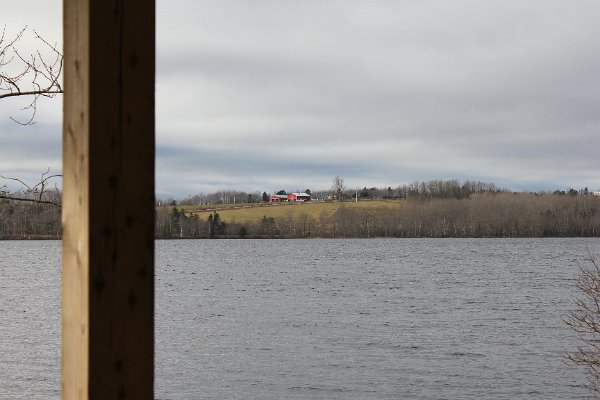 New Camera Dec2010 071